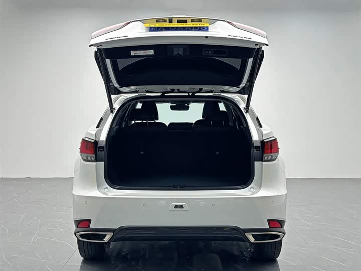 Фото 10 - Lexus RX