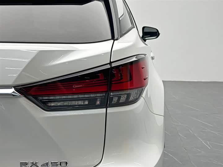 Фото 12 - Lexus RX