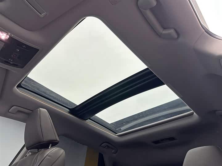 Фото 19 - Lexus RX