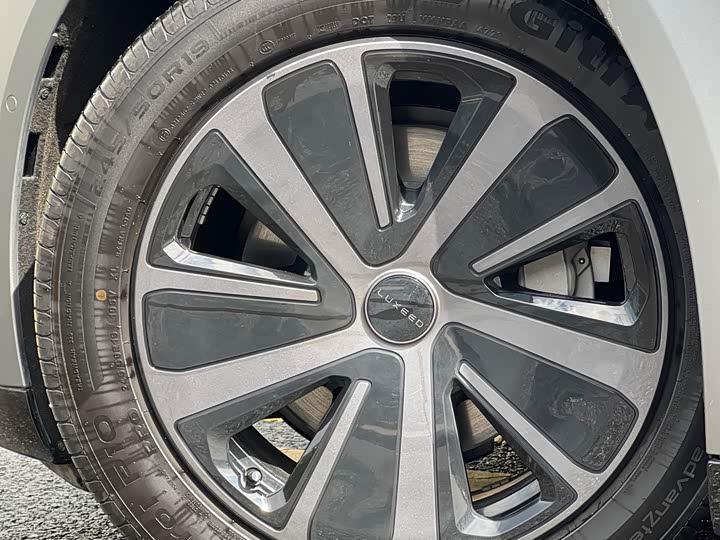 Фото 11 - Luxeed S7