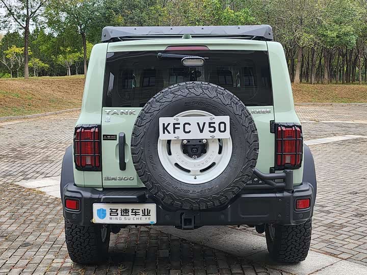 Фото 16 - Tank 300