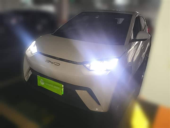 Фото 2 - BYD Seagull