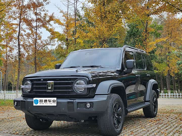 Фото 1 - Tank 300