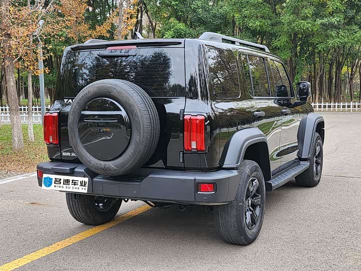 Фото 14 - Tank 300