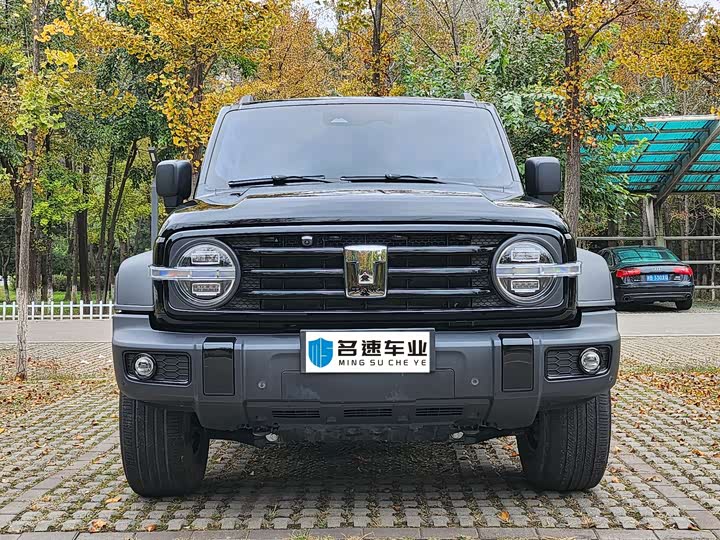 Фото 2 - Tank 300