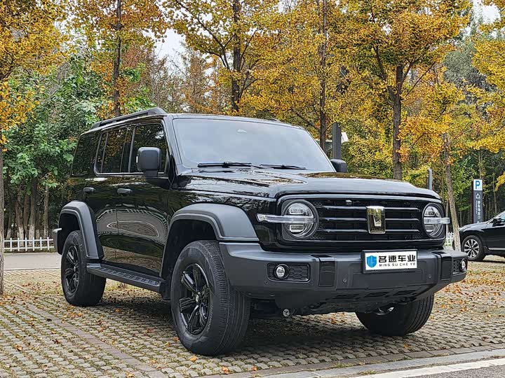 Фото 3 - Tank 300