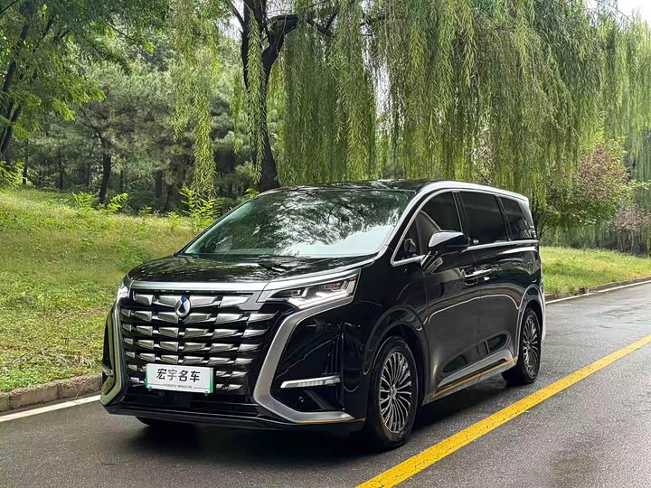 Фото 1 - Denza D9