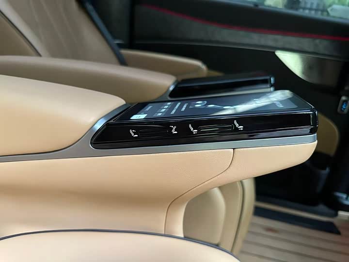 Фото 14 - Denza D9