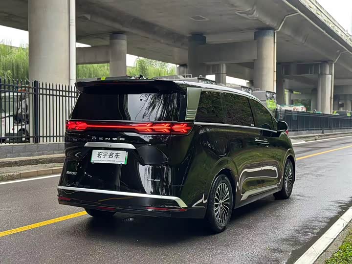 Фото 23 - Denza D9