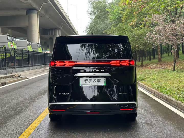 Фото 24 - Denza D9