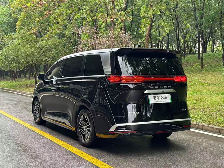 Фото 25 - Denza D9