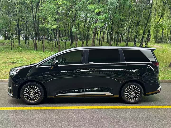 Фото 4 - Denza D9