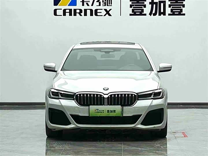 Фото 2 - BMW 5 Series Hybrid