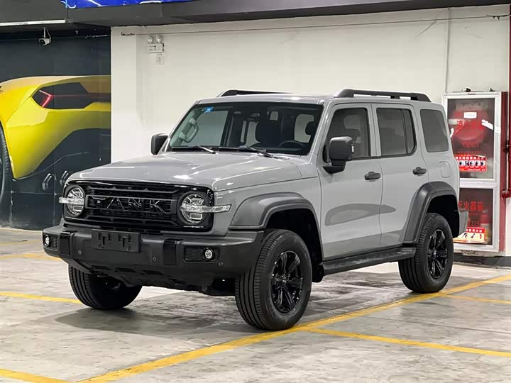 Фото 1 - Tank 300