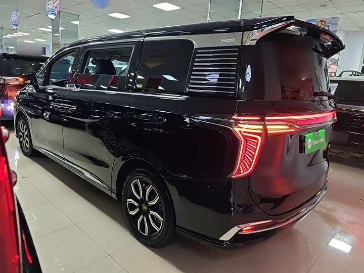 Фото 5 - Hongqi HQ9