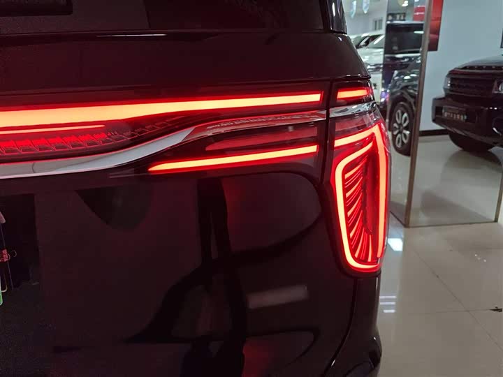 Фото 8 - Hongqi HQ9