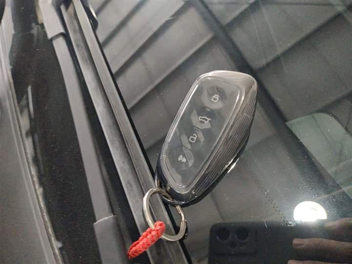 Фото 9 - Haval F7 (Monster)