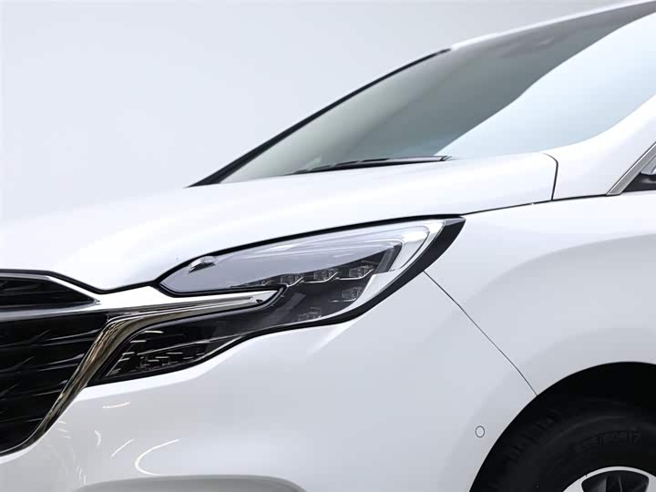 Фото 16 - Buick GL8 ES