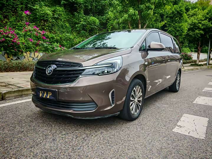 Фото 1 - Buick GL8 ES