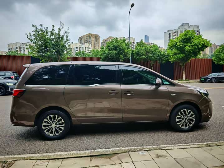 Фото 7 - Buick GL8 ES