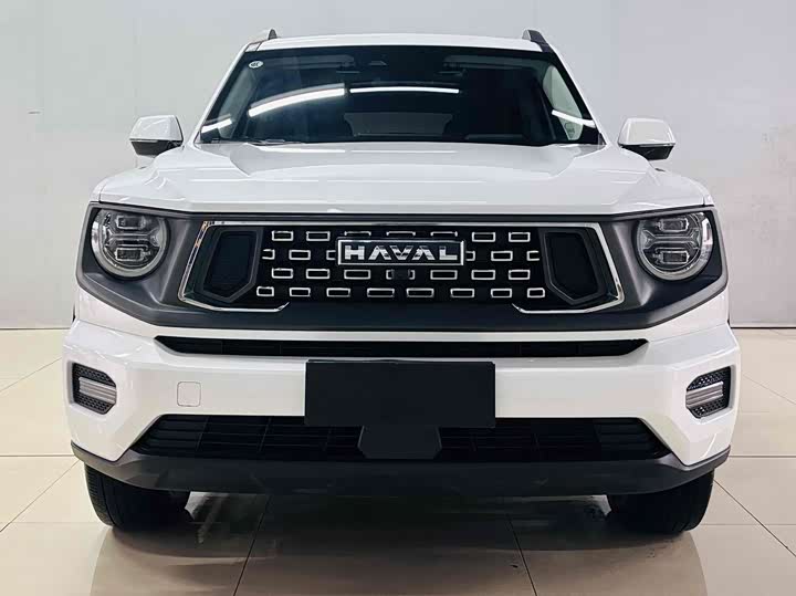 Фото 1 - Haval H-Dog