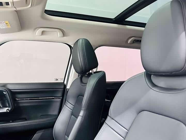 Фото 14 - Haval H-Dog