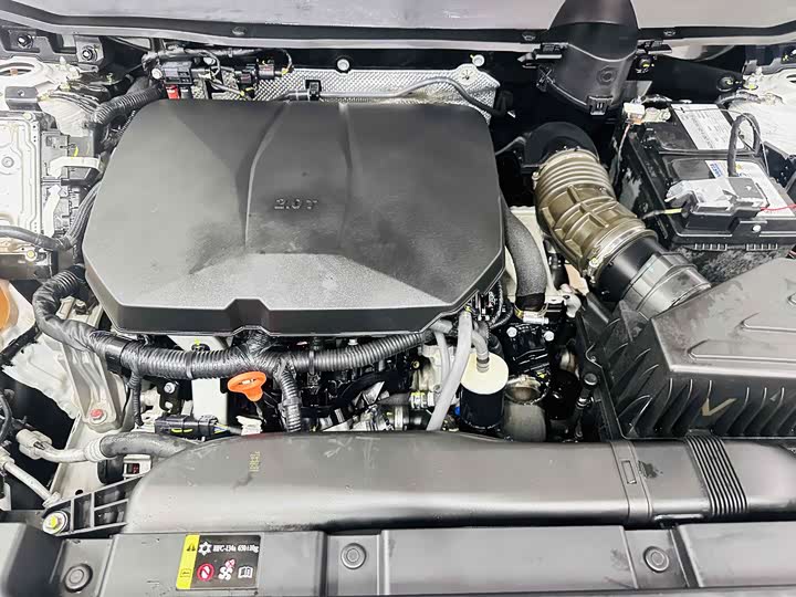 Фото 17 - Haval H-Dog