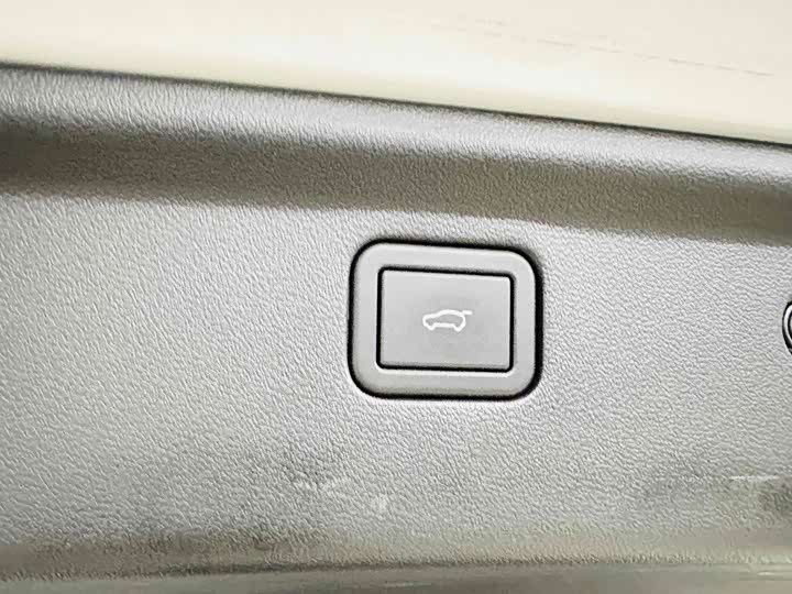 Фото 18 - Haval H-Dog