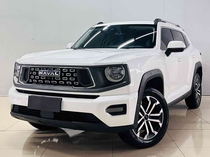 Фото 3 - Haval H-Dog