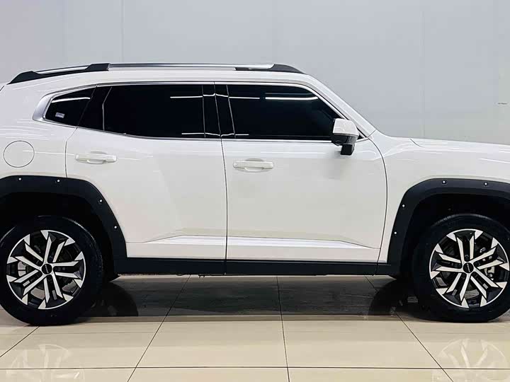 Фото 4 - Haval H-Dog