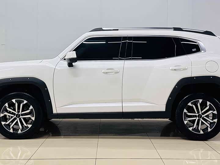 Фото 5 - Haval H-Dog