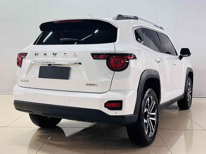 Фото 6 - Haval H-Dog