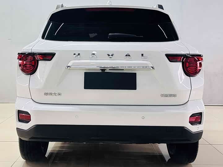 Фото 7 - Haval H-Dog