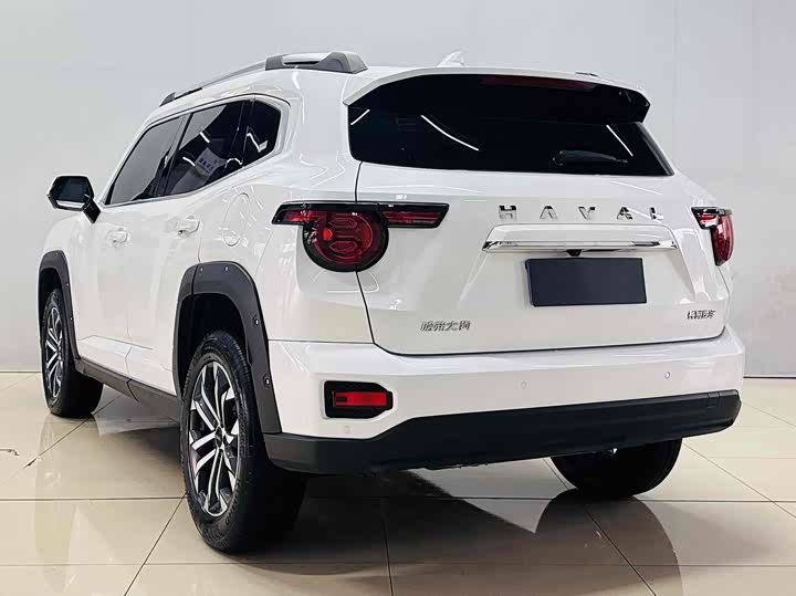 Фото 8 - Haval H-Dog