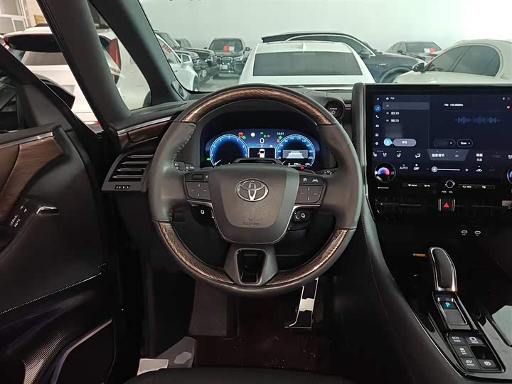 Фото 11 - Toyota Alphard