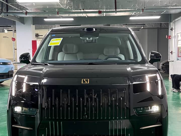 Фото 1 - Zeekr 009