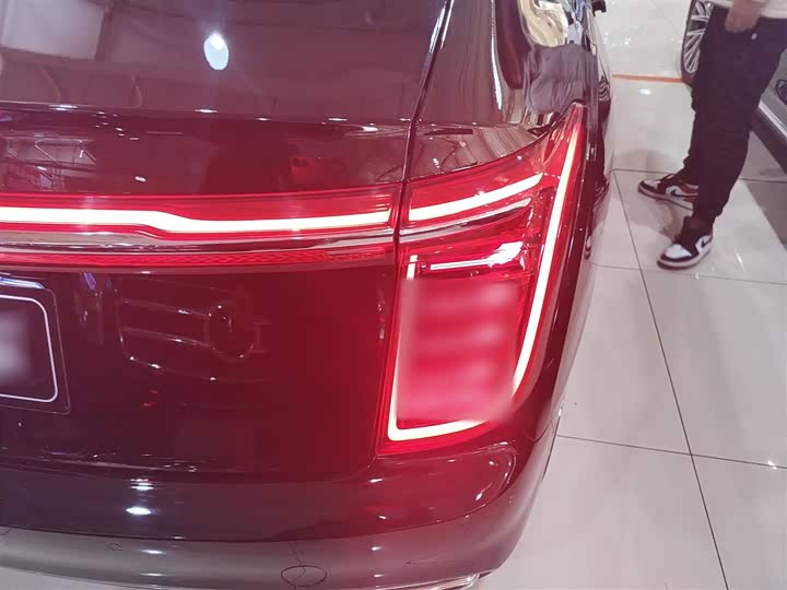 Фото 8 - Hongqi H9