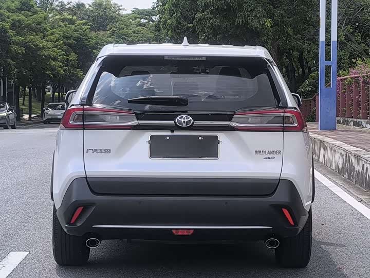 Фото 7 - Toyota Wildlander