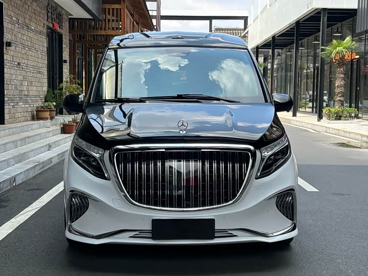 Фото 2 - Mercedes-Benz Vito