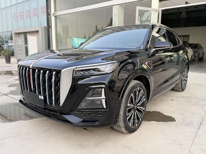 Фото 2 - Hongqi HS5