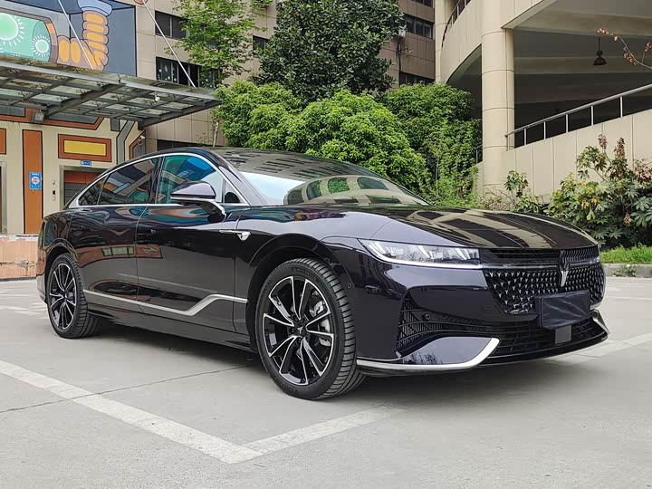 Фото 3 - Voyah Passion