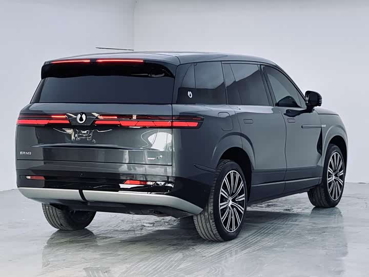 Фото 13 - Denza N9