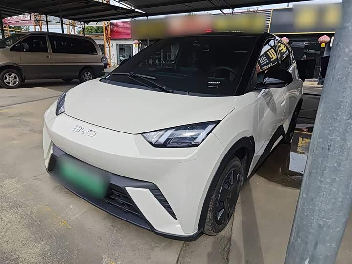 Фото 2 - BYD Seagull