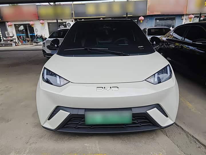 Фото 3 - BYD Seagull