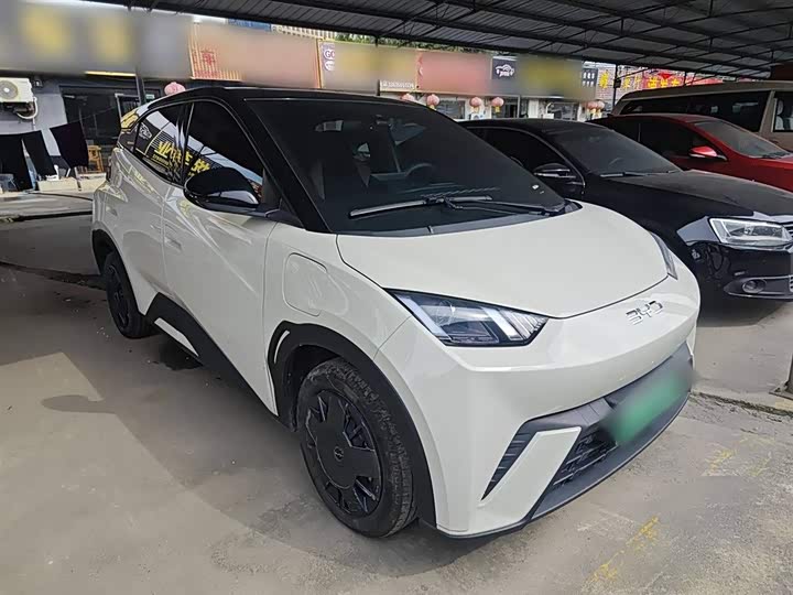 Фото 4 - BYD Seagull