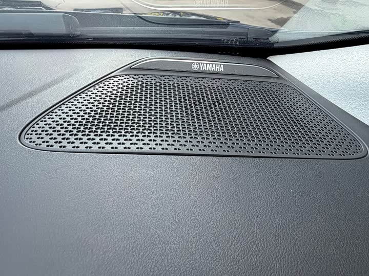 Фото 28 - GAC Trumpchi E9