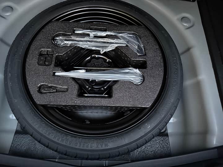 Фото 11 - GAC Trumpchi Empow R