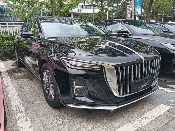 Фото 3 - Hongqi H5