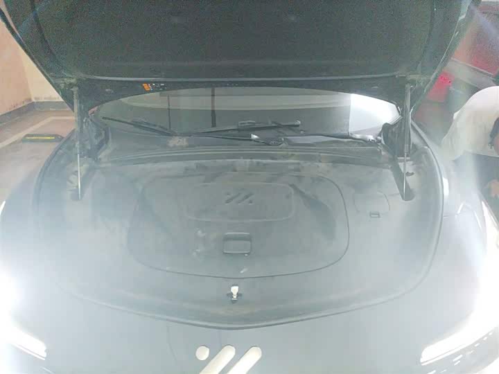 Фото 11 - IM motors LS7