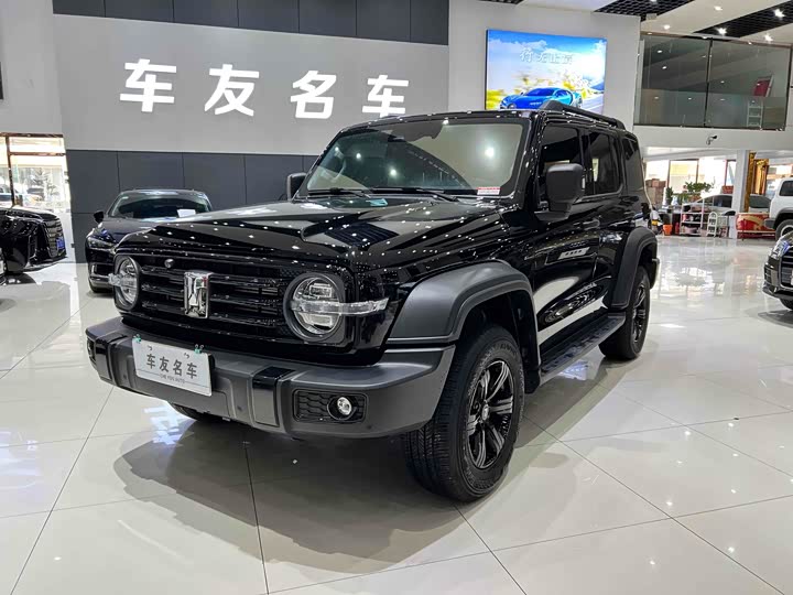 Фото 1 - Tank 300